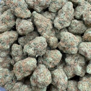 MUFFIN TOP - LK1209M2