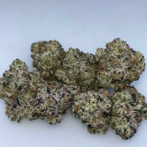 CARAMEL APPLE - ML206CD